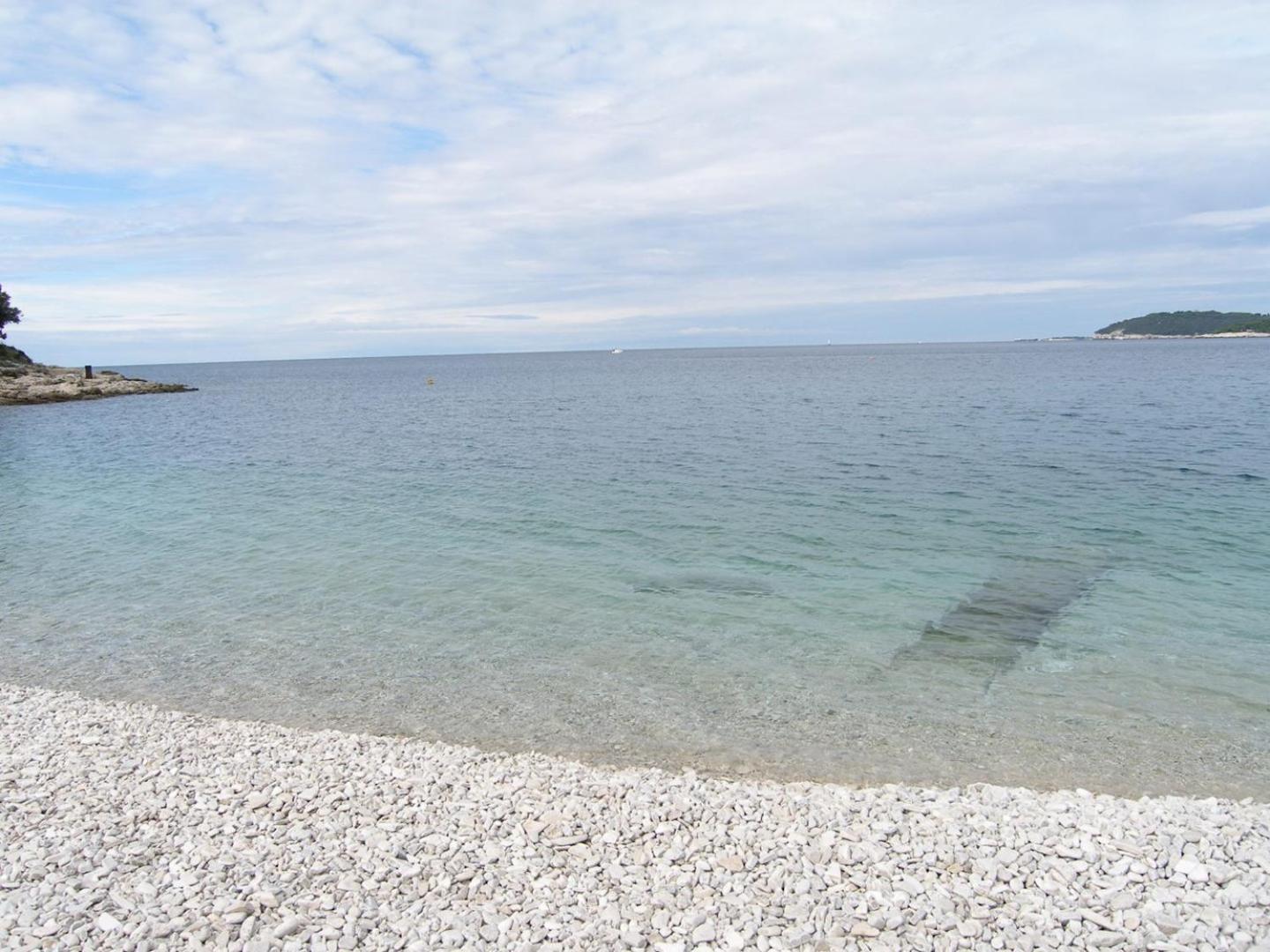 Pleasant Oriana Near The Sea-pula